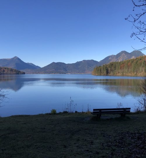umgebung_sommer_02