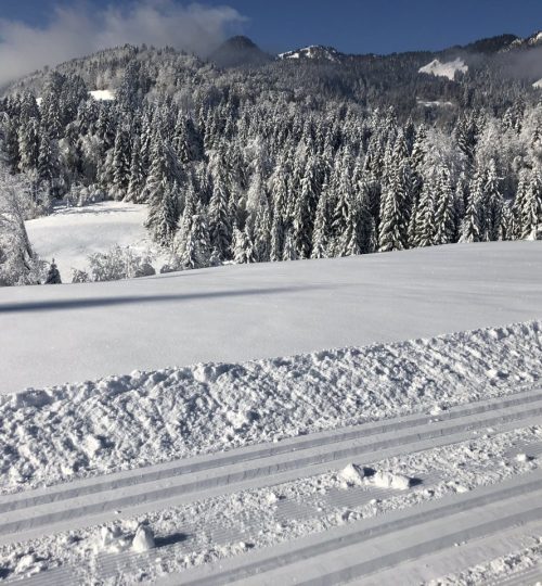 umgebung_winter_01